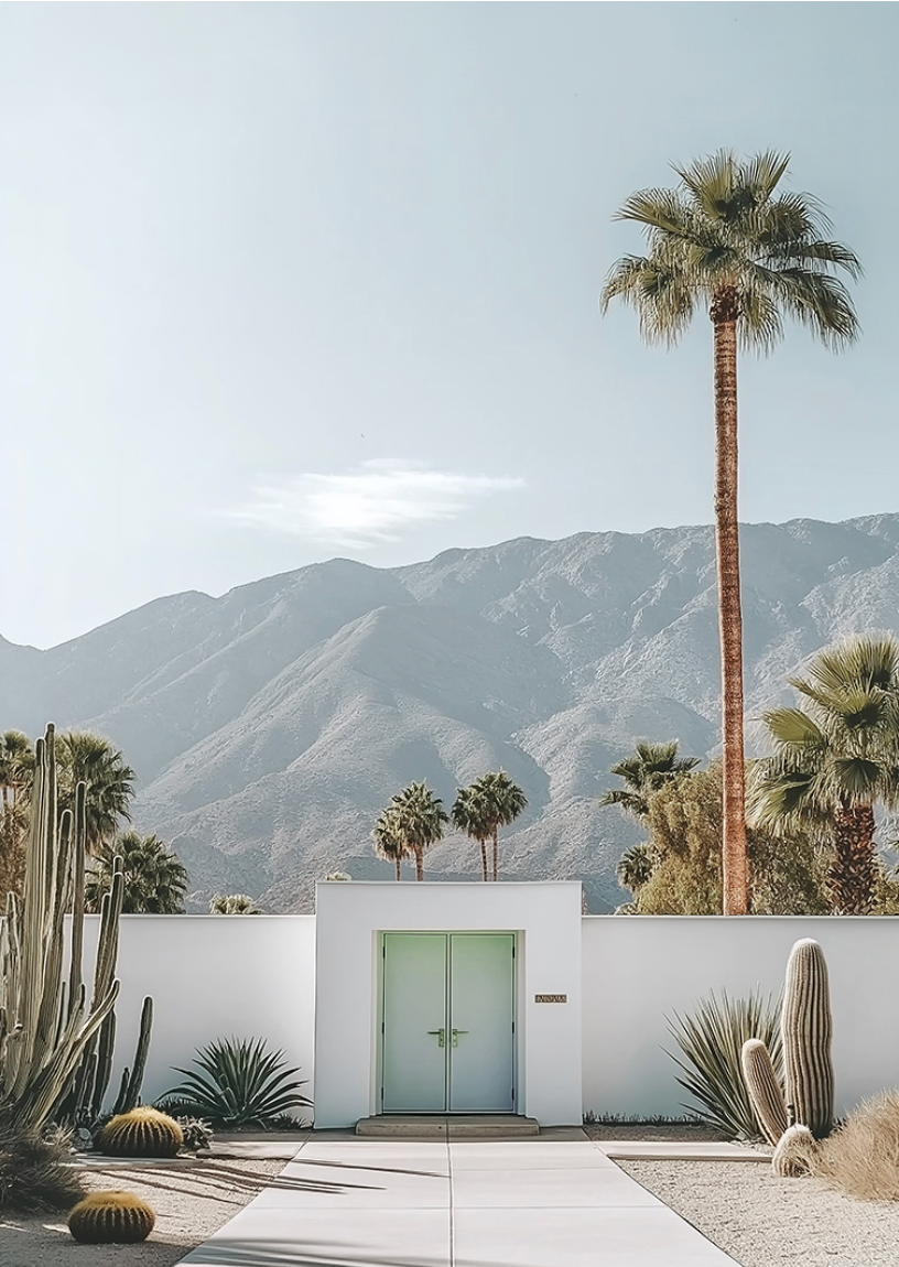 Palm Drive