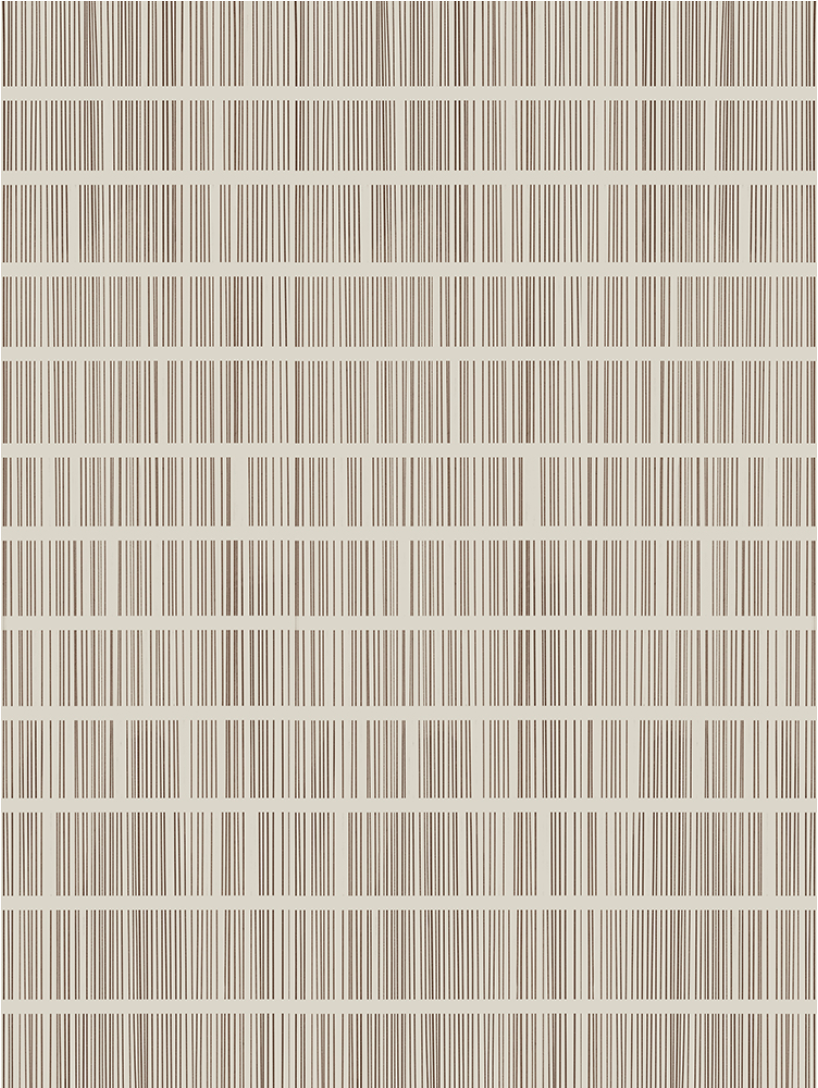 Language Of Lines