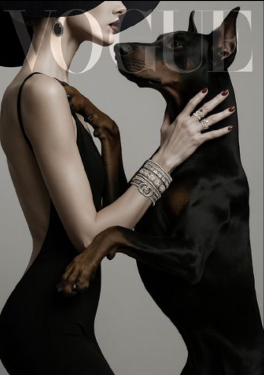 Dominia Cover