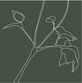 Flower sketch
