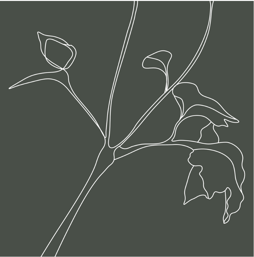 Flower sketch