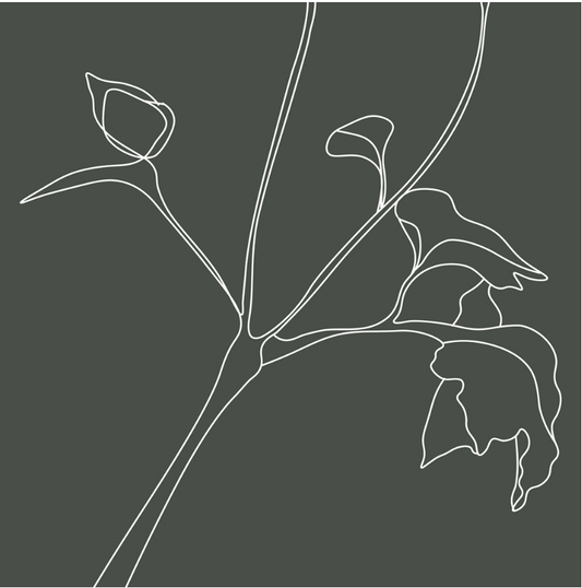 Flower sketch