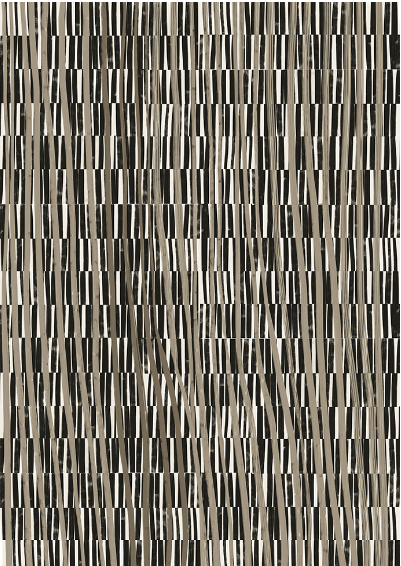 Tapestry Of Motion