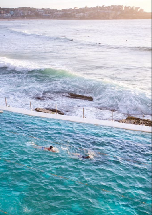 Early Swim At Bondi