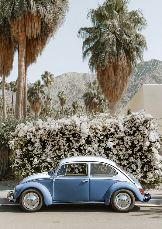 Barney Beetle Blu