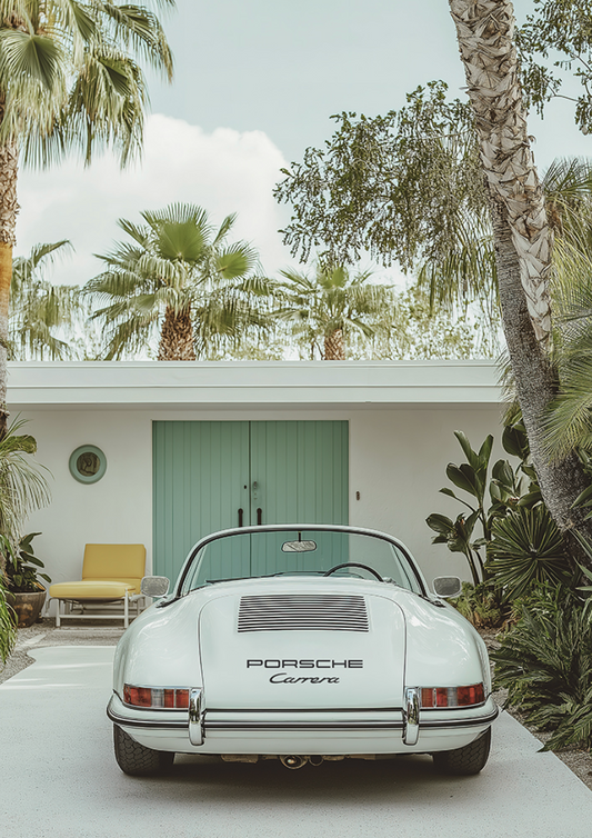 Carrera Palm
