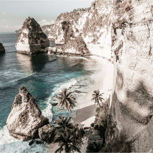 Palm Rock