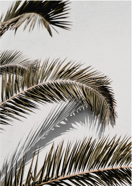 Vacay Palm 01