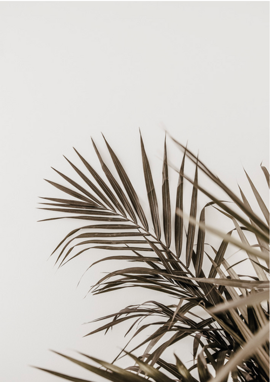 Vacay Palm 02