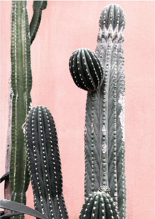 Arizona