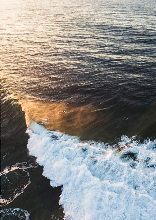 Winki Sunrise