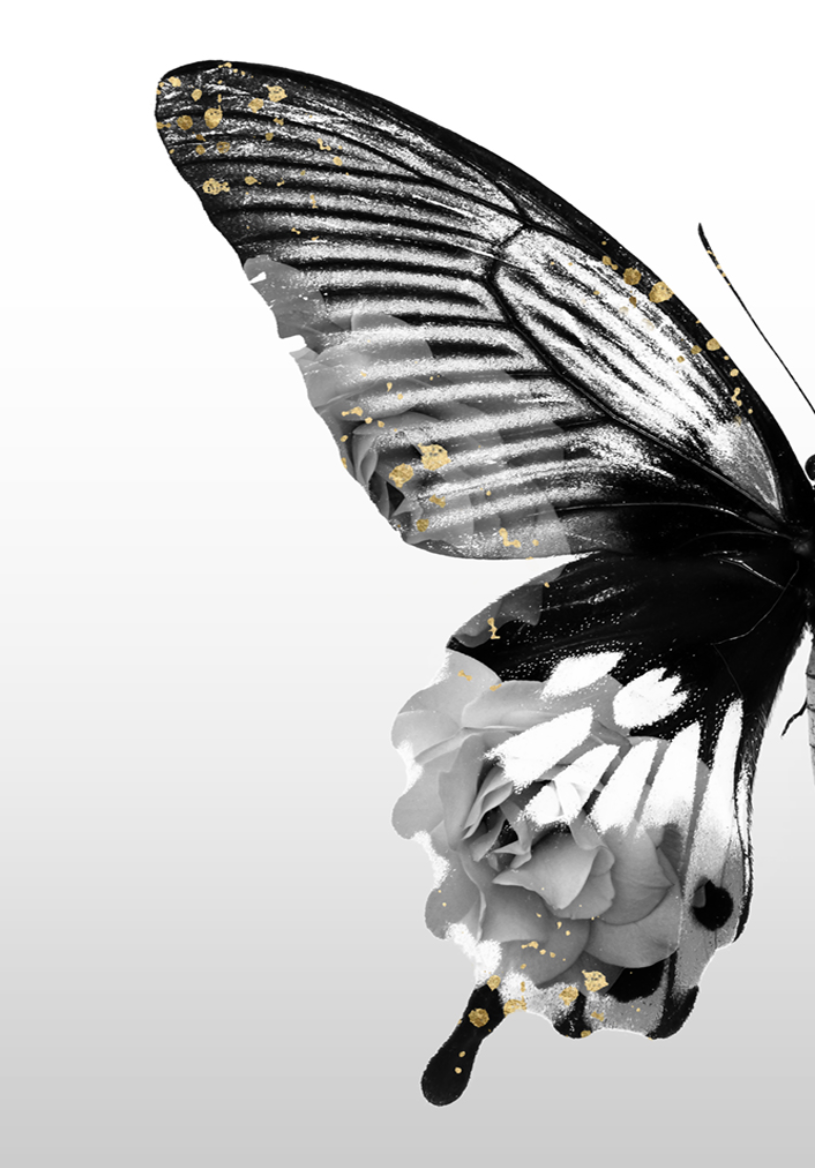 Butterfly Floral Left