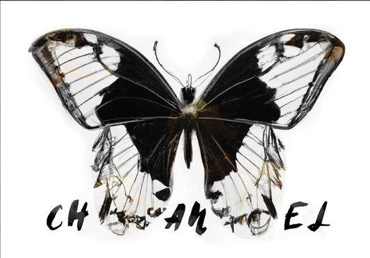 Grunge Butterfly
