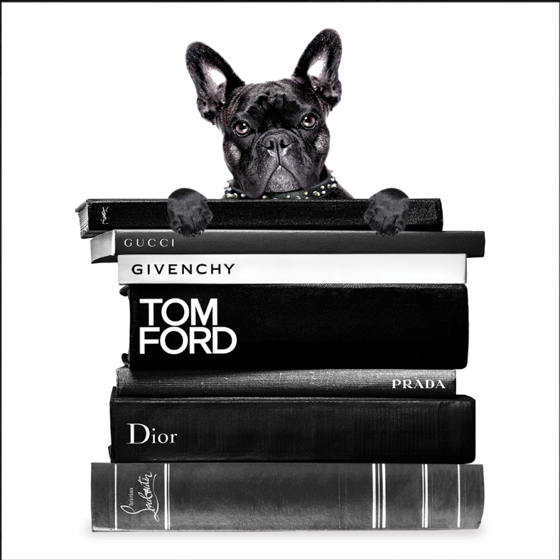 Book Stack French Bulldog
