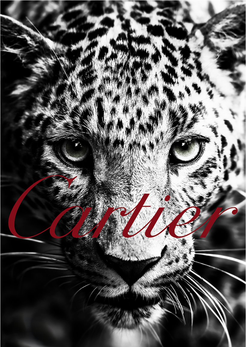 Cartier Leopard