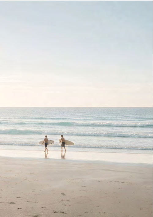 SURFER DUO