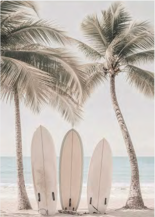 LETS SURF