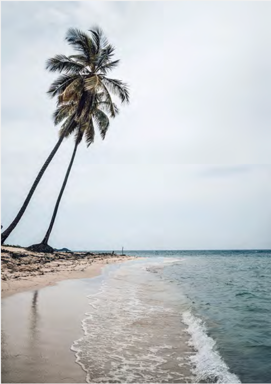 THE SHORE